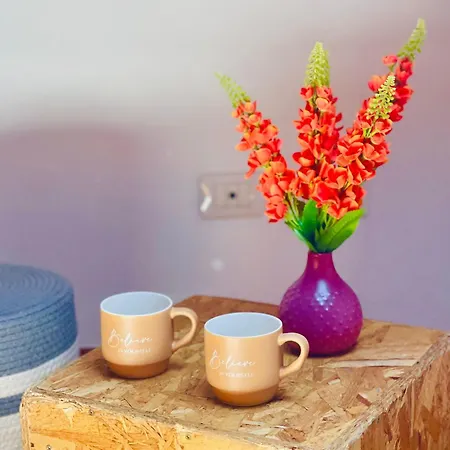 公寓 La Casa Di Gio In Centro 奧爾比亞