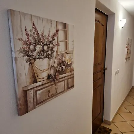 La Casa Di Gio In Centro * אולביה