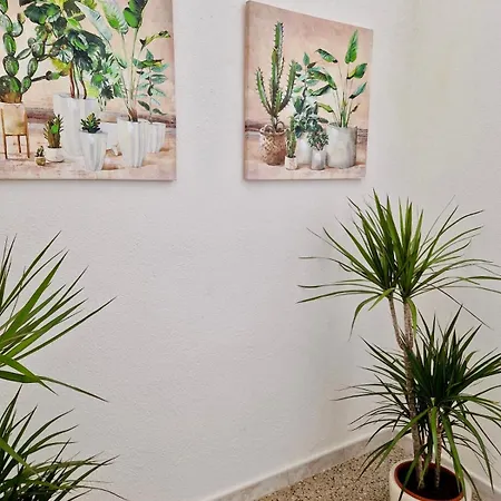 La Casa Di Gio In Centro Olbia