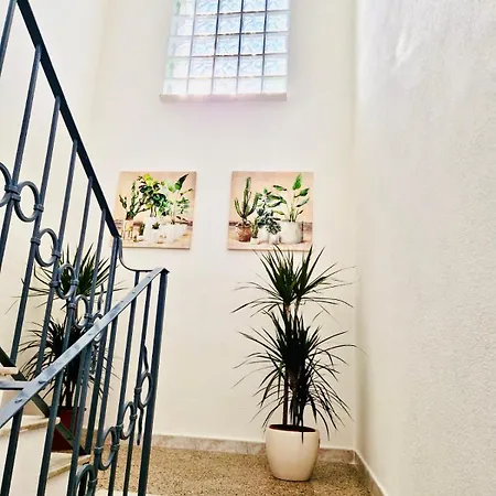 La Casa Di Gio In Centro דירה אולביה